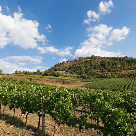 Villa Rosano Greve in Chianti Eksteriør billede