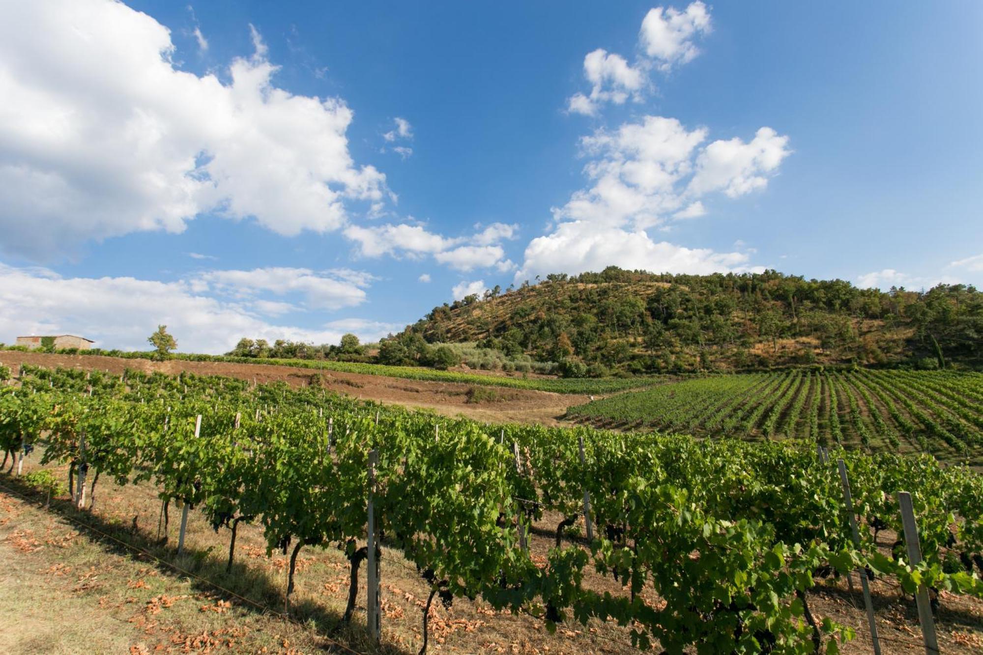 Villa Rosano Greve in Chianti Eksteriør billede
